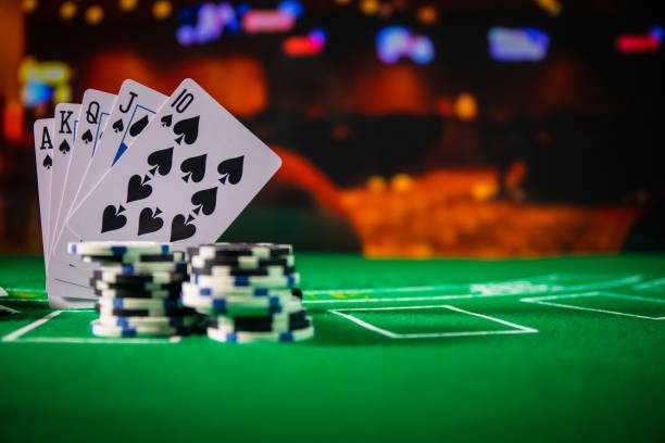 loyalbet88 App 